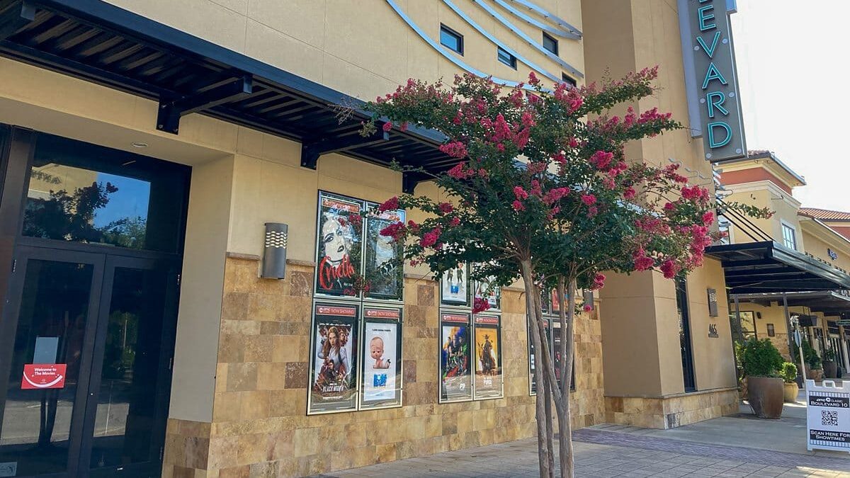 A tree in bloom near a movie theater at The Beach House Condominiums.